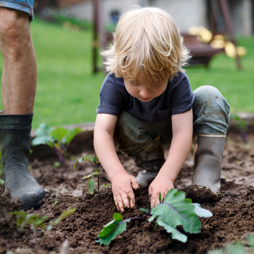 5 Resources For Planting Your Garden